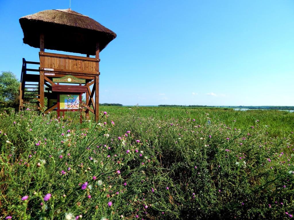 Wellness Apartments In Velence Esterno foto