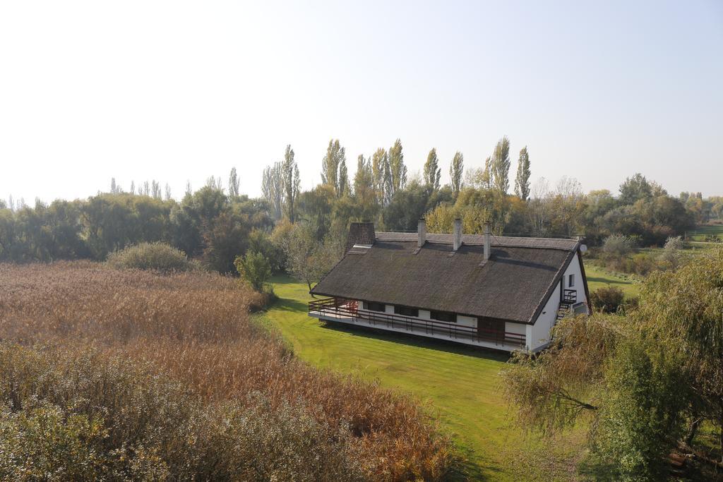 Wellness Apartments In Velence Esterno foto